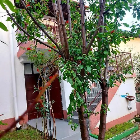 Garden * סראייבו