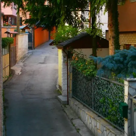 Garden *