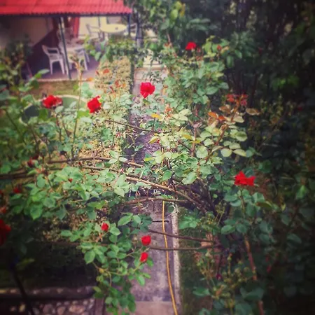 Garden Apartment Sarajevo